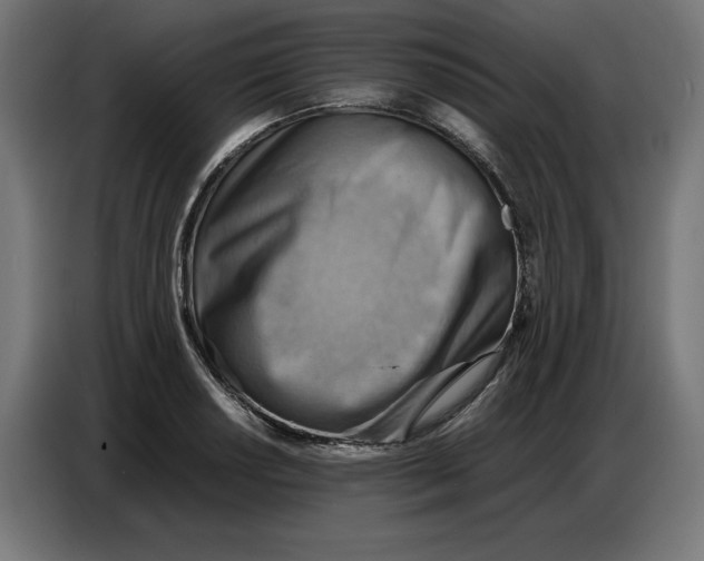 X0000086771034200705041504