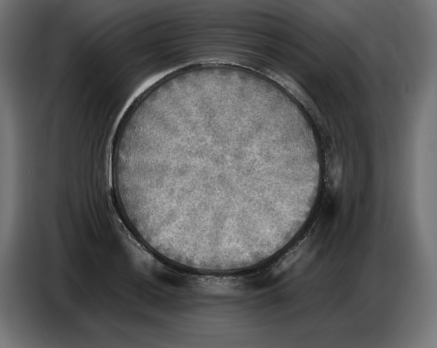 X0000086771036200705041504