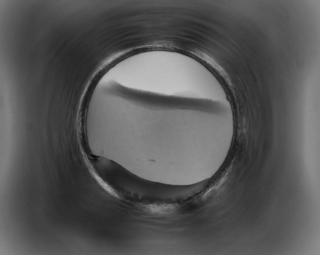 X0000086771037200705041504