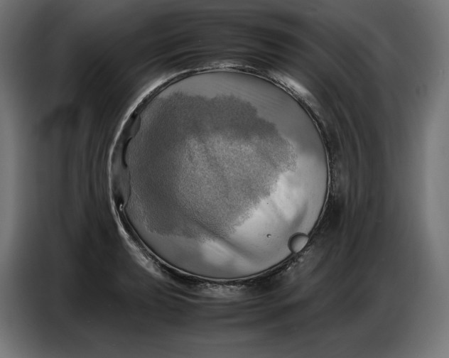 X0000086771039200705041504