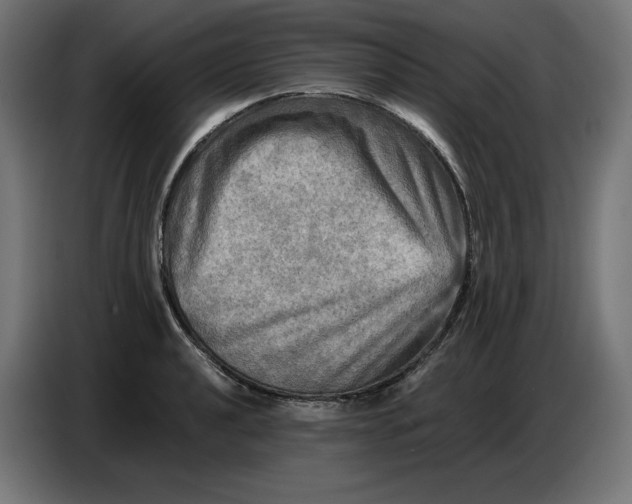 X0000086771040200705041504