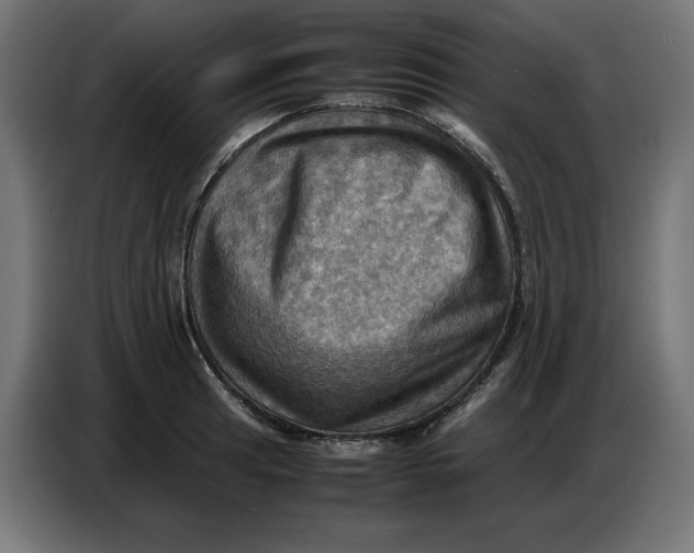 X0000086771041200705041504