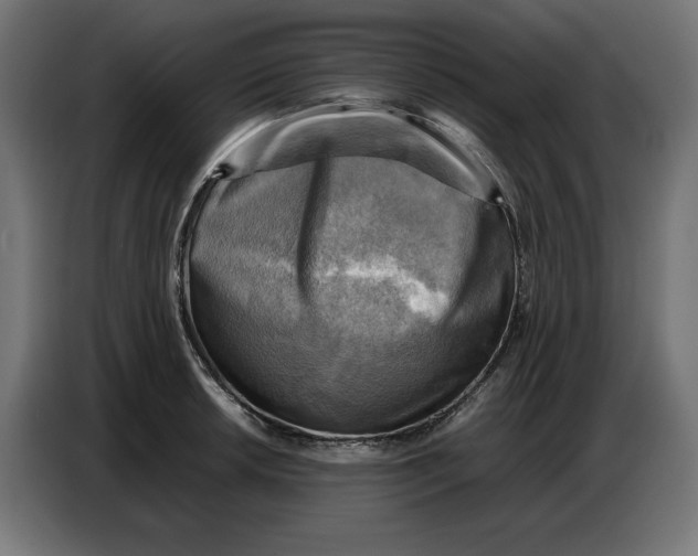 X0000086771042200705041504