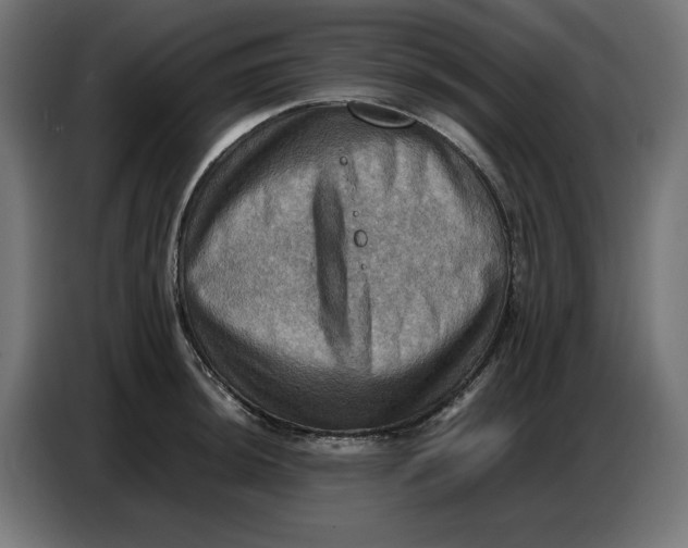 X0000086771044200705041504