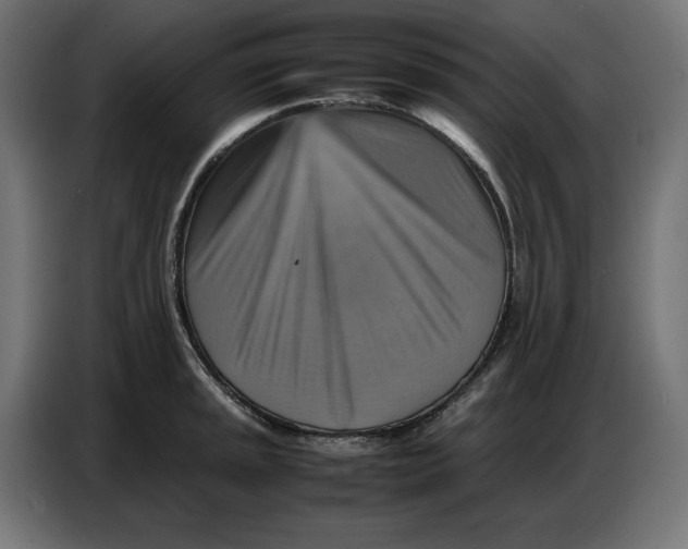 X0000086771045200705041504