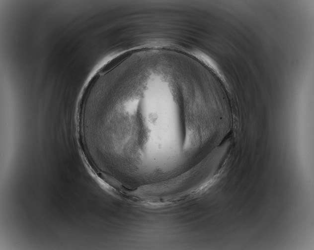 X0000086771046200705041504