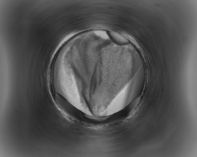 X0000086771048200705041504