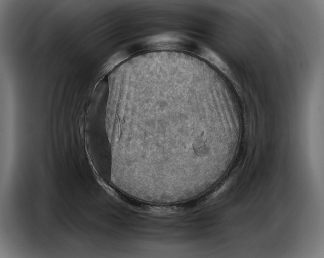 X0000086771049200705041504