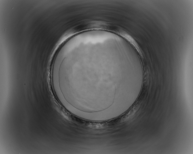 X0000086771051200705041504
