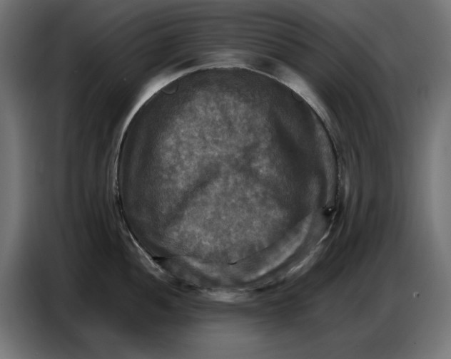 X0000086771052200705041504