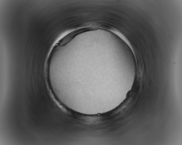 X0000086771053200705041504