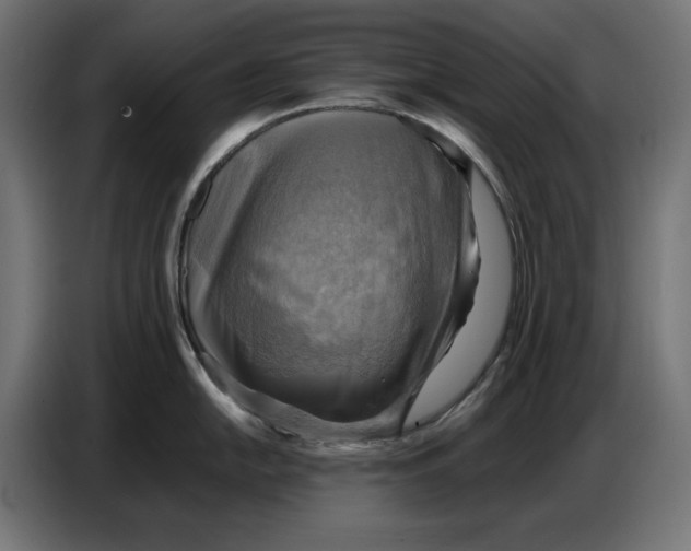X0000086771054200705041504
