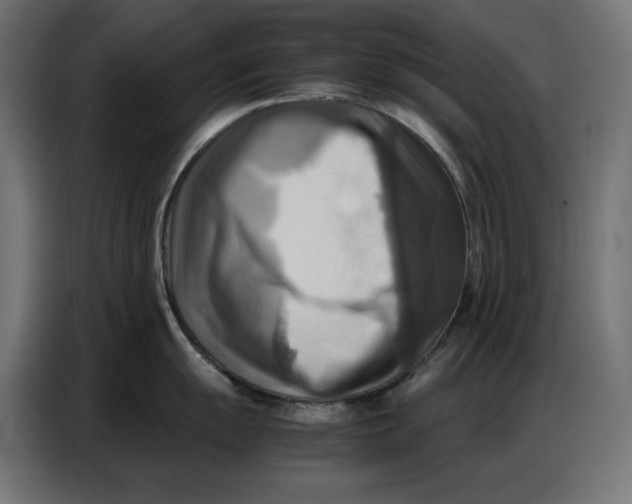 X0000086771055200705041504