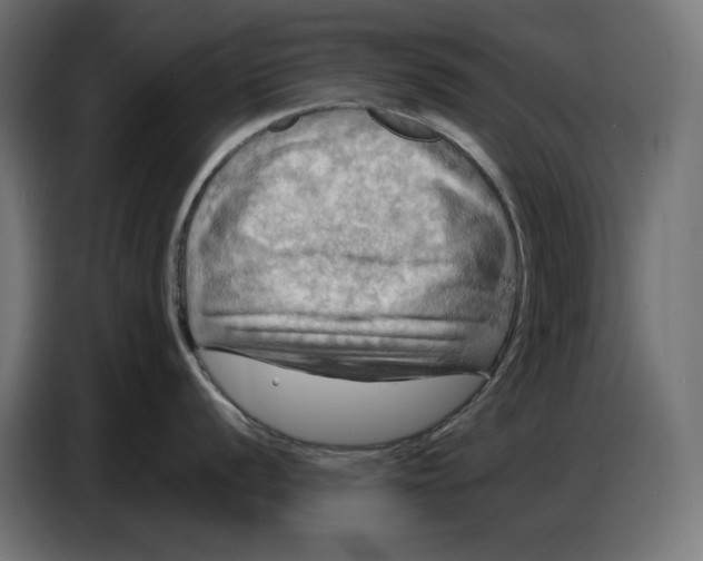 X0000086771056200705041504