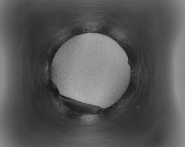 X0000086771058200705041503