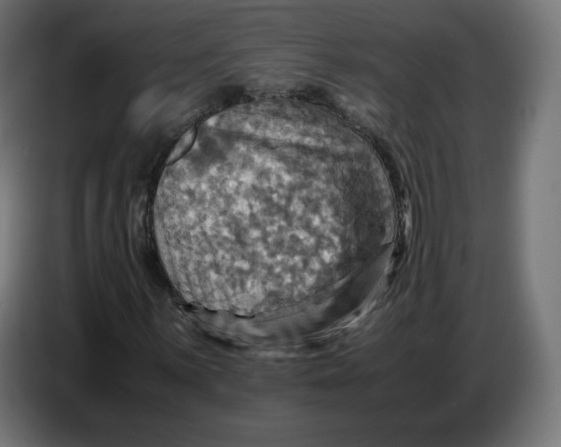 X0000086771059200705041503