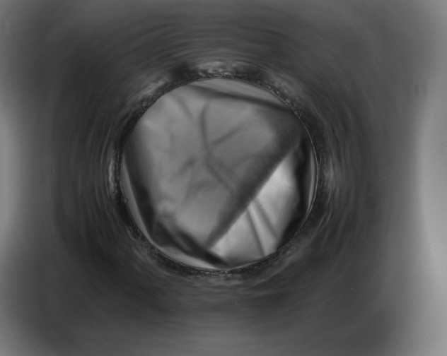 X0000086771060200705041503