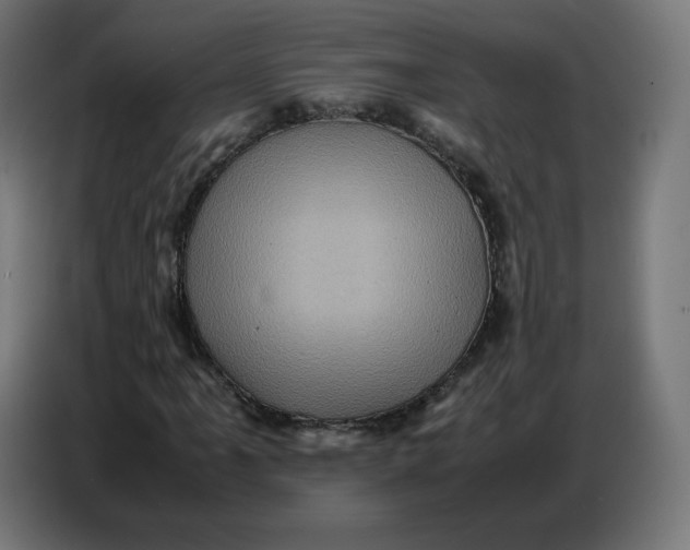 X0000086771061200705041503