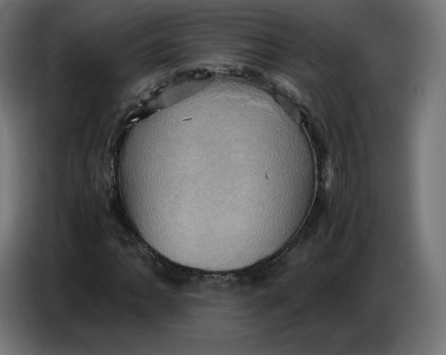 X0000086771062200705041503