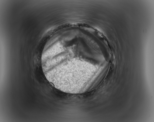 X0000086771063200705041503