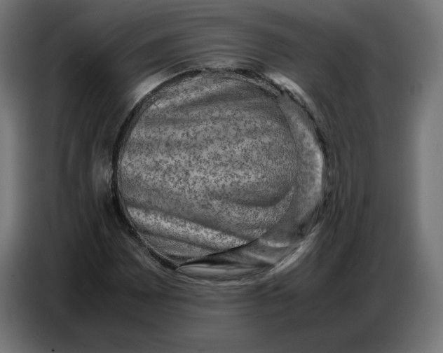 X0000086771065200705041503