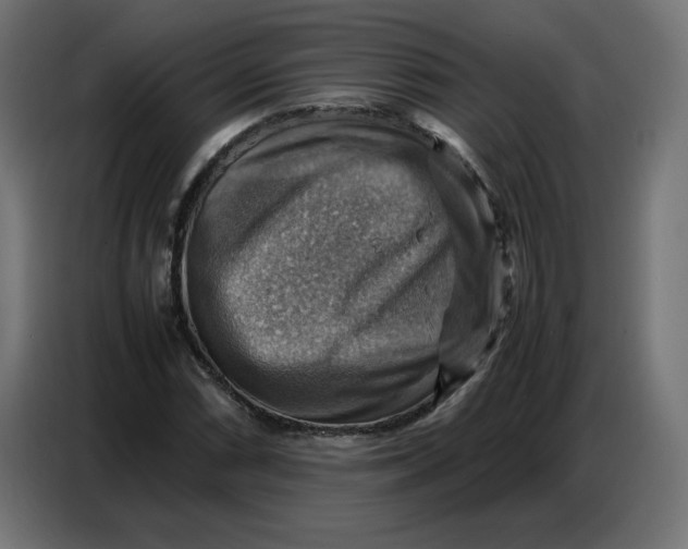 X0000086771066200705041503