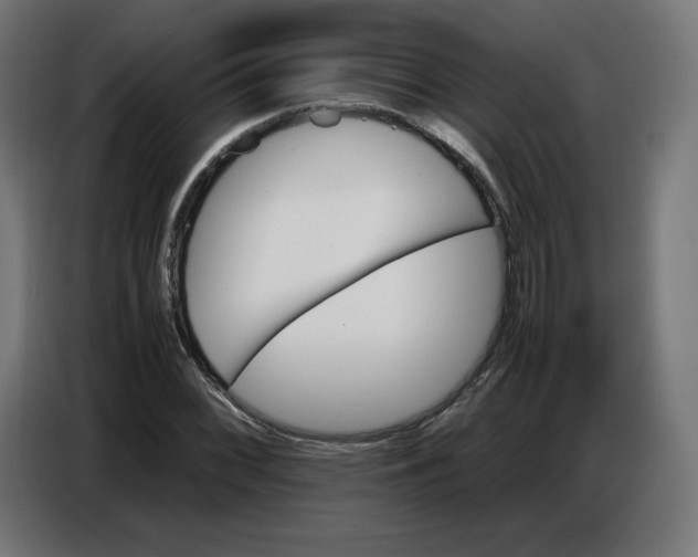 X0000086771068200705041503