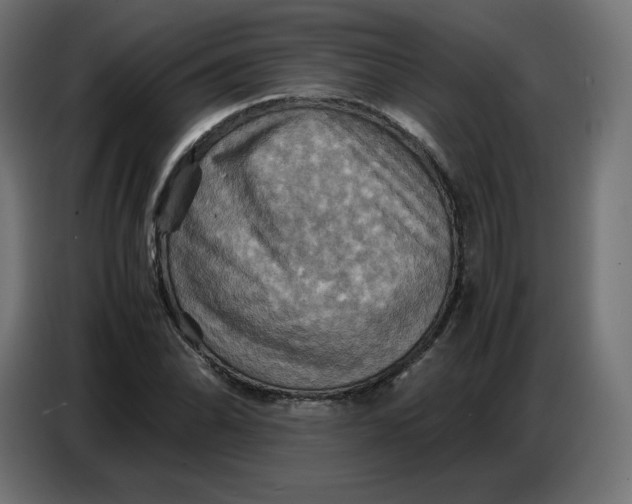 X0000086771070200705041503