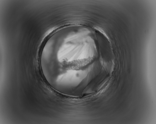 X0000086771071200705041503