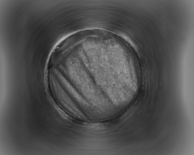X0000086771072200705041503