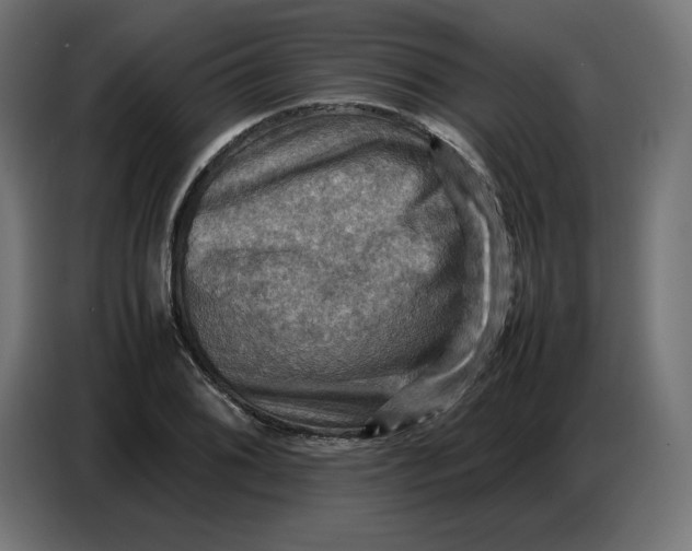 X0000086771076200705041503