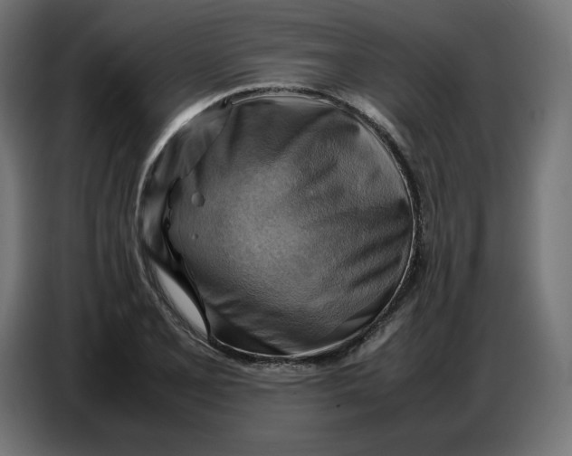 X0000086771077200705041503
