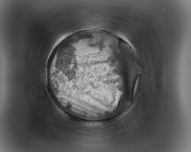 X0000086771079200705041503