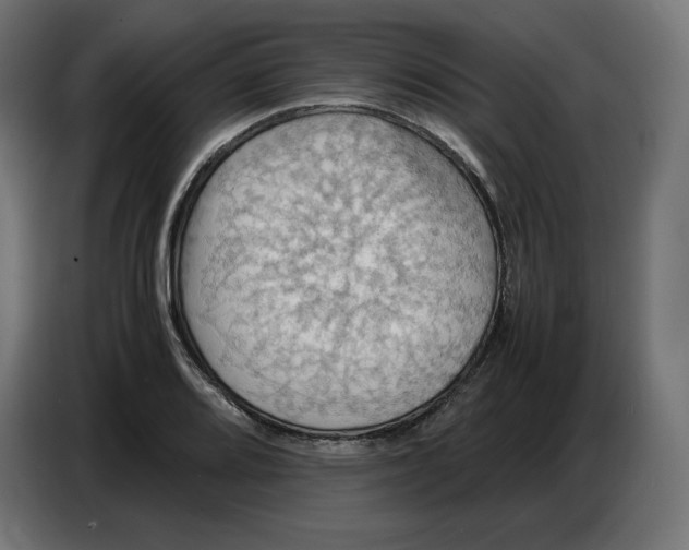 X0000086771080200705041503