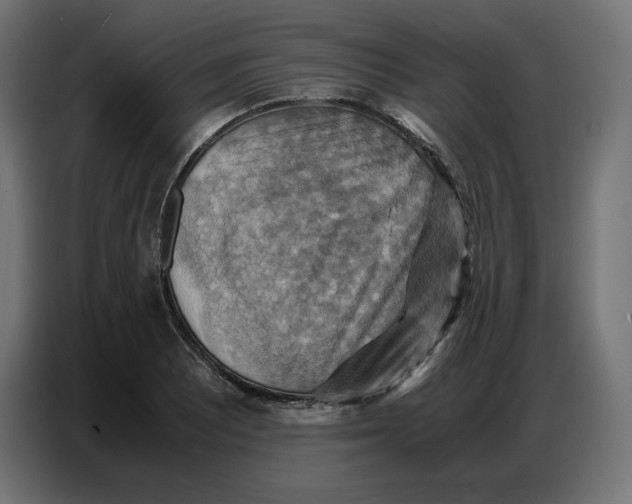 X0000086771081200705041503