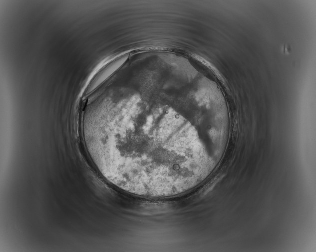 X0000086771083200705041503