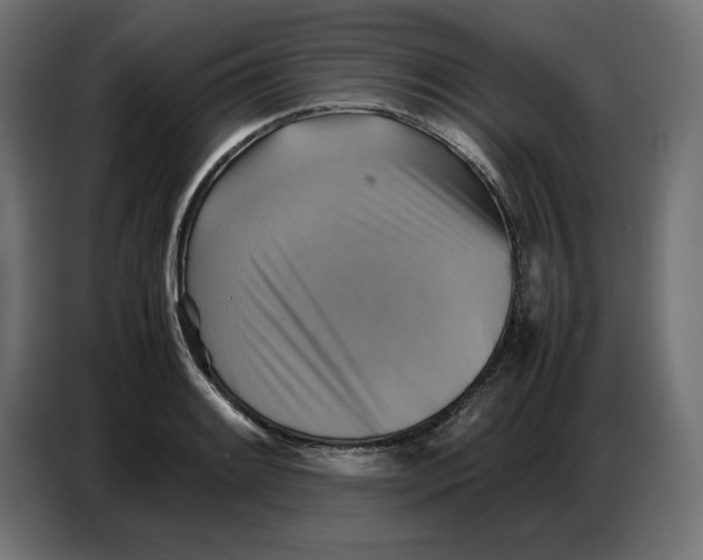 X0000086771084200705041503