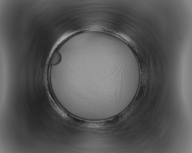 X0000086771086200705041503