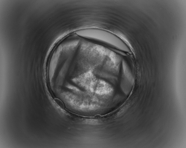 X0000086771088200705041503