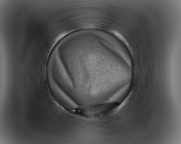 X0000086771089200705041503