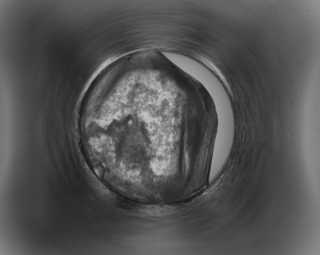 X0000086771091200705041503