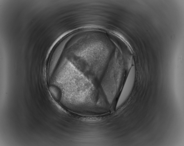 X0000086771092200705041503