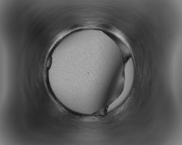 X0000086771093200705041503