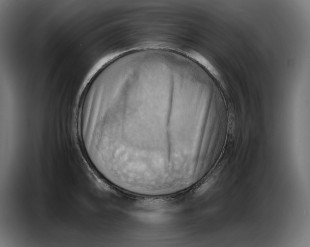 X0000086771094200705041503