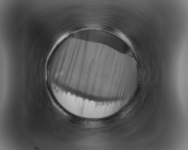 X0000086771095200705041503