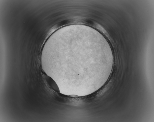 X0000086771097200705041503