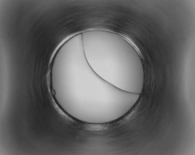 X0000086771100200705041503