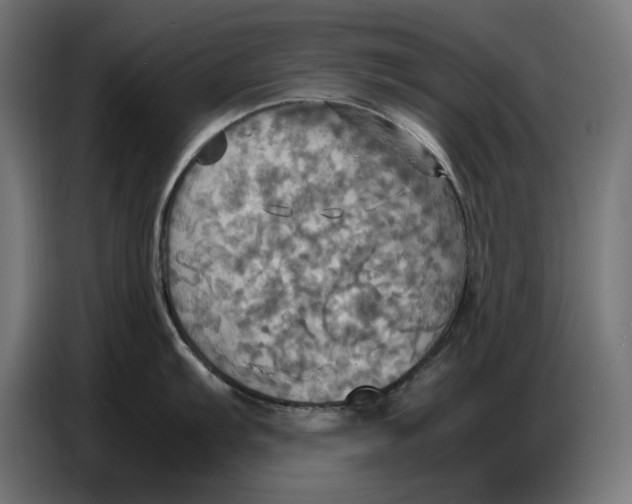 X0000086771103200705041503