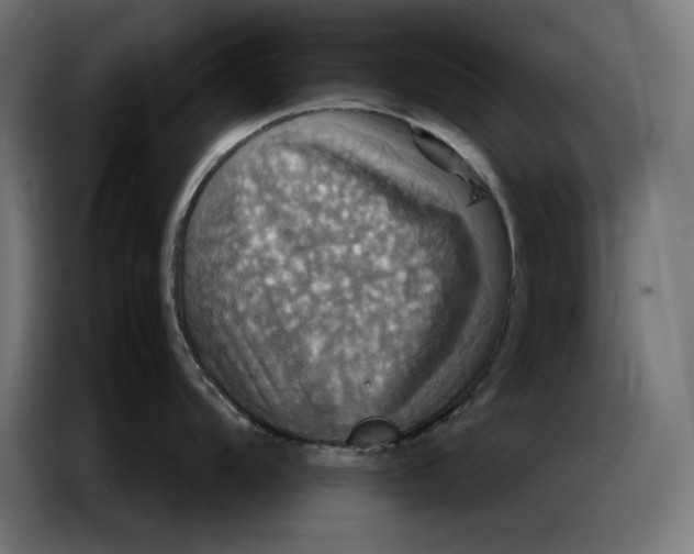 X0000086771104200705041503