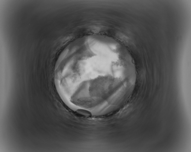 X0000086771105200705041502